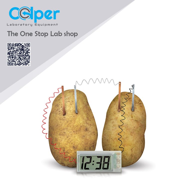 Potato Clock Science Kit Colper Educational Equipment